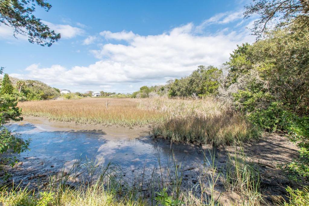 Marsh Front Birders Paradise Close To Beaches And Downtown Saint Augustine Eksteriør billede